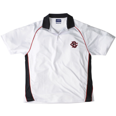 Picture of Raglan Sleeve polo