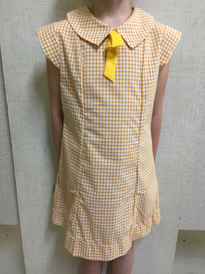 Picture of Granville State School - Girls  Dress