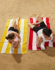 Picture of Winning Spirit-TW07-Striped Beach Towel