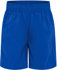 Picture of LW Reid-5T36SH-Stretch Microfibre Shorts