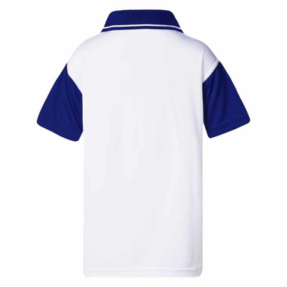 Picture of LW Reid-5915TS-Foveaux Twin Stripe Sports Polo