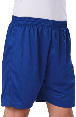 Picture of Winning Spirit Adult Shoot Soccer Shorts (SS25)