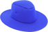 Picture of Grace Collection School Foam Hat (AH711)