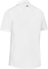 Picture of Bisley Workwear V-Neck Short Sleeve Shirt (BS1404)