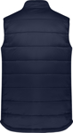 Picture of Biz Collection Mens Alpine Vest (J211M)