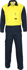 Picture of DNC Workwear Patron Saint Flame Retardant Overall (3425)