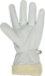 Picture of JB's Wear EN511 Freezer Rigger Glove (6WWGF)