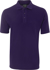 Picture of JB's Wear Adults 210 Polo (210)