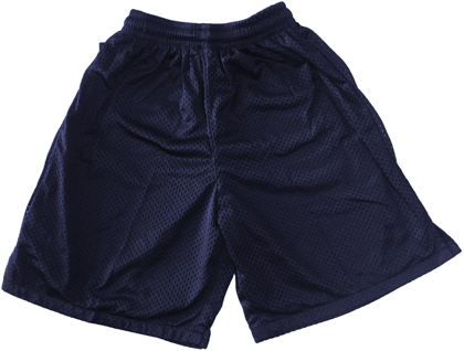 Picture of Sunbury State School Basketball shorts