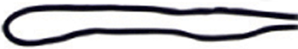 Picture of Winning Spirit Chin Strap With Break Away Clip (H1027)