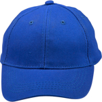 Picture of Winning Spirit Kids Brushed Cotton Cap (H1055)