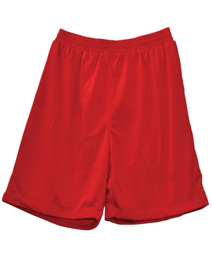 Picture of Winning Spirit Adults Airpass Shorts (SS21)