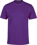 Picture of Winning Spirit Mens Savvy Tee Shirt (TS37)