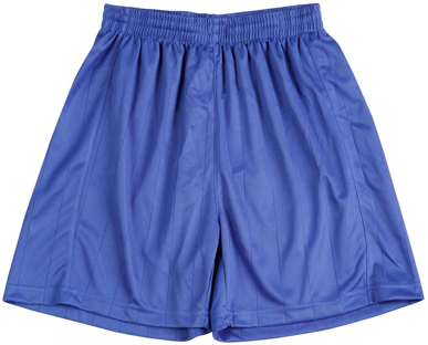 Picture of Winning Spirit Adult Shoot Soccer Shorts (SS25)