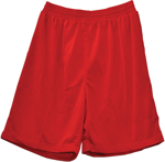 Picture of Winning Spirit Adults Airpass Shorts (SS21)