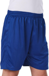 Picture of Winning Spirit Kids Shoot Soccer Shorts (SS25K)