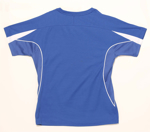 Picture of Winning Spirit Womens Legend Tee Shirt (TS54)